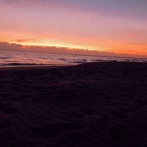 Meet your Posher, Fiona